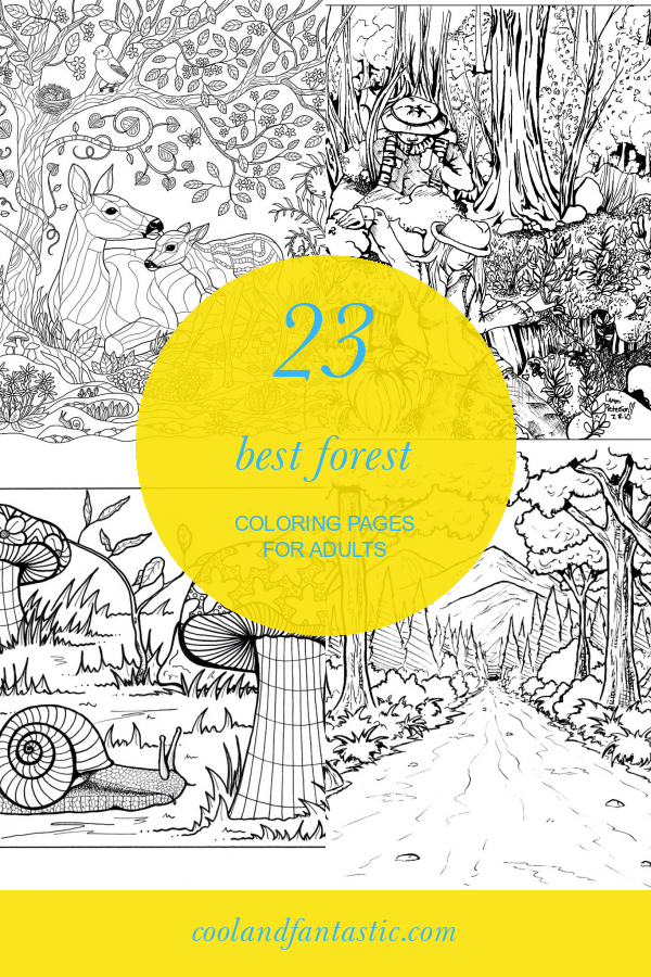 Forest Coloring Pages for Adults